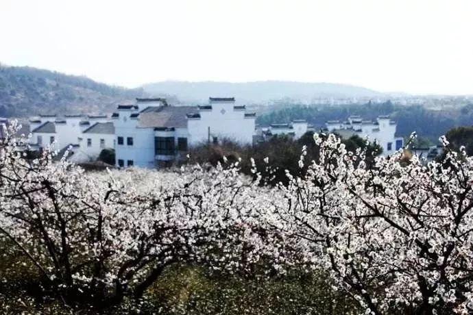 竞技游戏